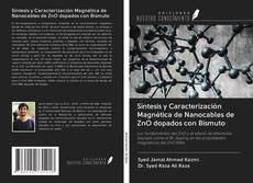 Обложка Síntesis y Caracterización Magnética de Nanocables de ZnO dopados con Bismuto