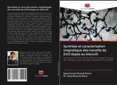 Capa do livro de Synthèse et caractérisation magnétique des nanofils de ZnO dopés au bismuth 