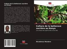 Culture de la betterave sucrière au Kenya kitap kapağı
