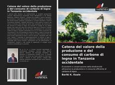 Catena del valore della produzione e del consumo di carbone di legna in Tanzania occidentale的封面