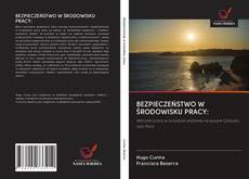 Buchcover von BEZPIECZEŃSTWO W ŚRODOWISKU PRACY: