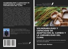 Обложка VULNERABILIDAD Y CAPACIDAD DE ADAPTACIÓN AL CAMBIO Y LA VARIABILIDAD DEL CLIMA