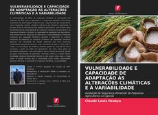 Bookcover of VULNERABILIDADE E CAPACIDADE DE ADAPTAÇÃO ÀS ALTERAÇÕES CLIMÁTICAS E À VARIABILIDADE