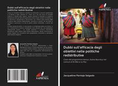 Buchcover von Dubbi sull'efficacia degli obiettivi nelle politiche redistributive