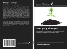 Entropía y sintropía kitap kapağı