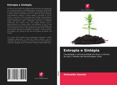 Bookcover of Entropia e Sintépia
