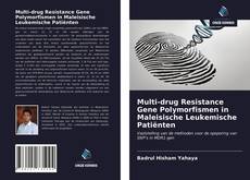 Multi-drug Resistance Gene Polymorfismen in Maleisische Leukemische Patiënten kitap kapağı