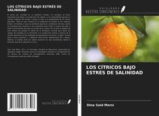 Bookcover of LOS CÍTRICOS BAJO ESTRÉS DE SALINIDAD