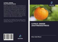 Borítókép a  CITRUS ONDER ZOUTHEIDSSTRESS - hoz