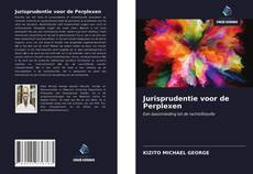 Bookcover of Jurisprudentie voor de Perplexen