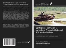 Conflicto de tierras en la agricultura Productividad en el África subsahariana kitap kapağı