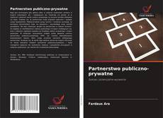 Bookcover of Partnerstwo publiczno-prywatne