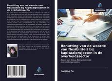 Copertina di Benutting van de waarde van flexibiliteit bij kapitaalprojecten in de overheidssector