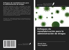 Buchcover von Enfoques de nanofabricación para la administración de drogas