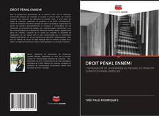 Bookcover of DROIT PÉNAL ENNEMI