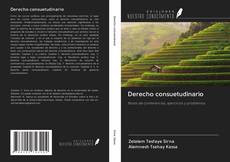 Bookcover of Derecho consuetudinario