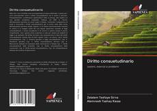 Bookcover of Diritto consuetudinario