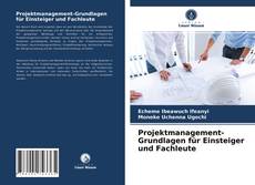 Обложка Projektmanagement-Grundlagen für Einsteiger und Fachleute