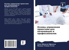 Copertina di Основы управления проектами для начинающих и профессионалов