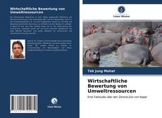 Обложка Wirtschaftliche Bewertung von Umweltressourcen