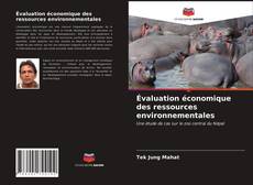 Évaluation économique des ressources environnementales kitap kapağı