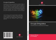 Bookcover of Cirurgia Ortognática