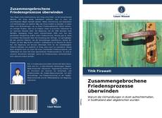 Bookcover of Zusammengebrochene Friedensprozesse überwinden