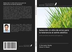 Selección in vitro de arroz para la tolerancia al estrés abiótico kitap kapağı