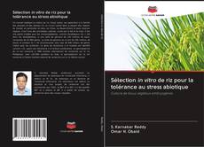 Sélection in vitro de riz pour la tolérance au stress abiotique kitap kapağı
