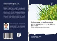 Buchcover von Отбор риса в пробирке для устойчивости к абиотическим стрессам