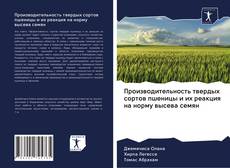 Portada del libro de Производительность твердых сортов пшеницы и их реакция на норму высева семян