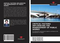 CRITICAL FACTORS INFLUENCING THE MANAGEMENT OF PUBLIC WORKS kitap kapağı