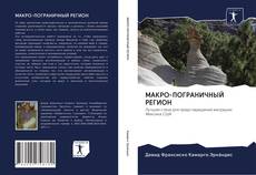 Capa do livro de МАКРО-ПОГРАНИЧНЫЙ РЕГИОН 