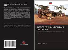 JUSTICE DE TRANSITION POUR DEUX PAYS?的封面