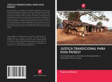 Buchcover von JUSTIÇA TRANSICIONAL PARA DOIS PAÍSES?