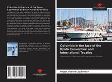 Colombia in the face of the Kyoto Convention and International Treaties kitap kapağı