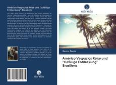 Capa do livro de Américo Vespucios Reise und "zufällige Entdeckung" Brasiliens 