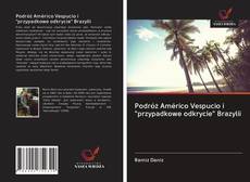 Bookcover of Podróż Américo Vespucio i "przypadkowe odkrycie" Brazylii