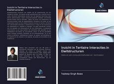 Buchcover von Inzicht in Tertiaire Interacties in Eiwitstructuren