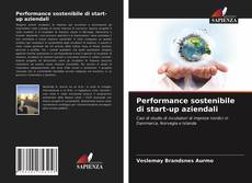 Performance sostenibile di start-up aziendali的封面