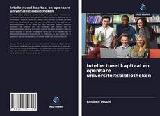 Intellectueel kapitaal en openbare universiteitsbibliotheken的封面