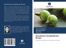Capa do livro de Genetische Variabilität bei Brinjal 