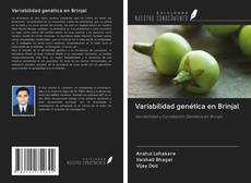 Variabilidad genética en Brinjal kitap kapağı