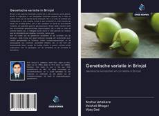Bookcover of Genetische variatie in Brinjal