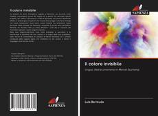 Buchcover von Il colore invisibile