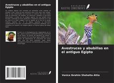 Bookcover of Avestruces y abubillas en el antiguo Egipto