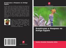 Avestruzes e Hoopoes no Antigo Egipto kitap kapağı