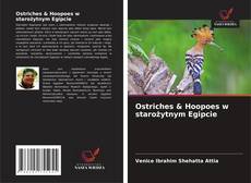 Portada del libro de Ostriches & Hoopoes w starożytnym Egipcie