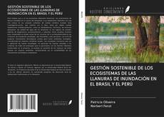 GESTIÓN SOSTENIBLE DE LOS ECOSISTEMAS DE LAS LLANURAS DE INUNDACIÓN EN EL BRASIL Y EL PERÚ kitap kapağı