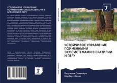 УСТОЙЧИВОЕ УПРАВЛЕНИЕ ПОЙМЕННЫМИ ЭКОСИСТЕМАМИ В БРАЗИЛИИ И ПЕРУ的封面